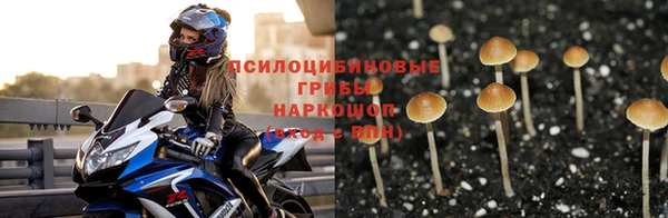 мяу мяу мука Медвежьегорск