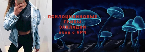 ешки Мегион