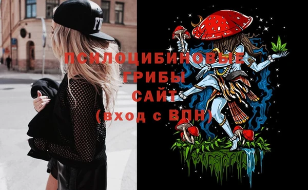 мяу мяу мука Медвежьегорск