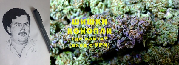 мяу мяу мука Медвежьегорск