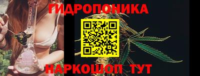 шишки Гагарин