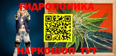 шишки Гагарин