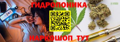 шишки Гагарин