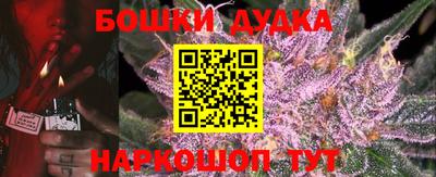 PSILOCYBIN Будённовск