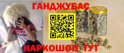 шишки Гагарин