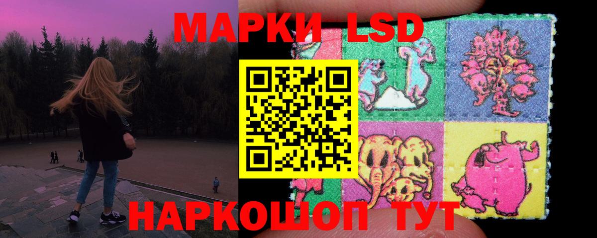 Лсд 25 экстази кислота  Вход с VPN  Железноводск  Лсд 25 экстази кислота 