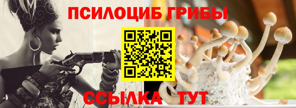 Псилоцибиновые грибы Magic Shrooms Железноводск