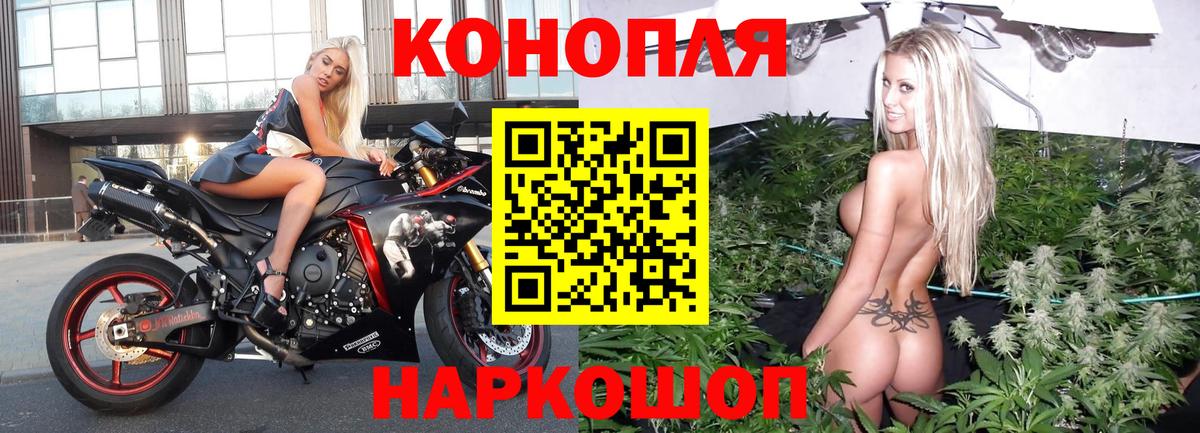 Конопля план Железноводск